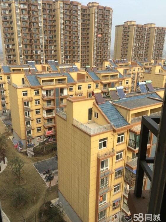 �x�ͼ҈@�|�^�����Ŀ������ο��ƃr����