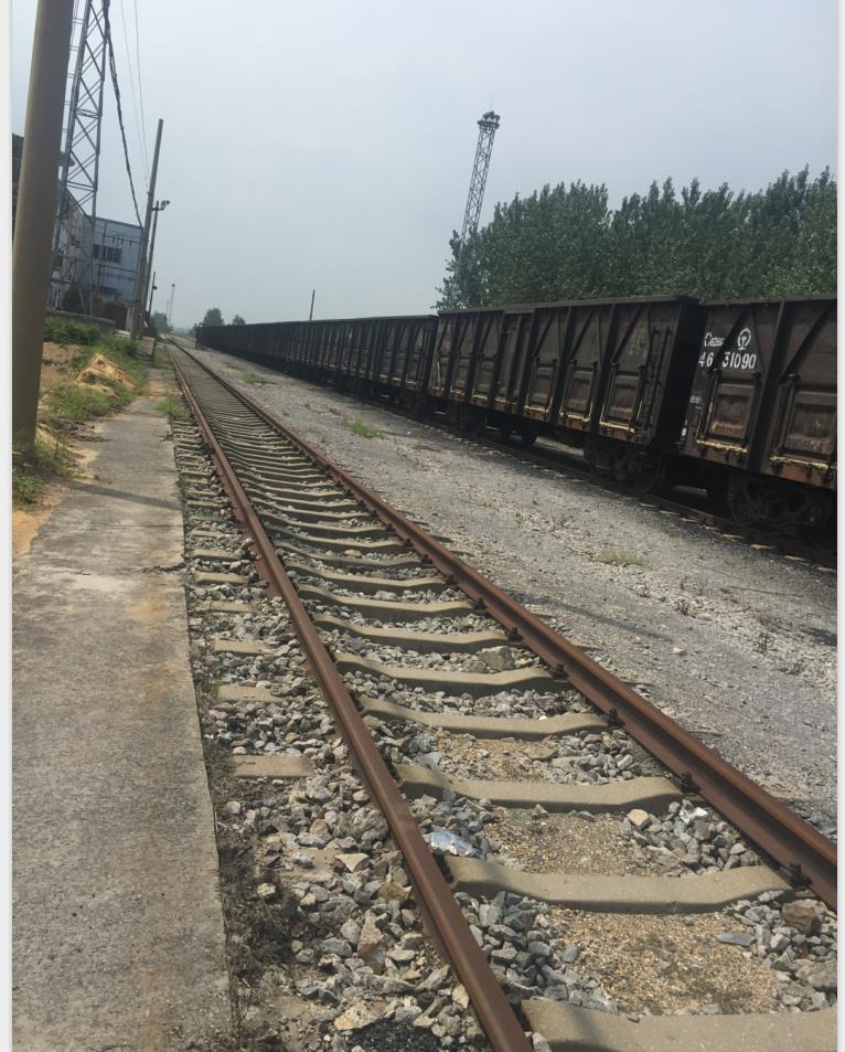 �����V�I�����Ŀ�����u������