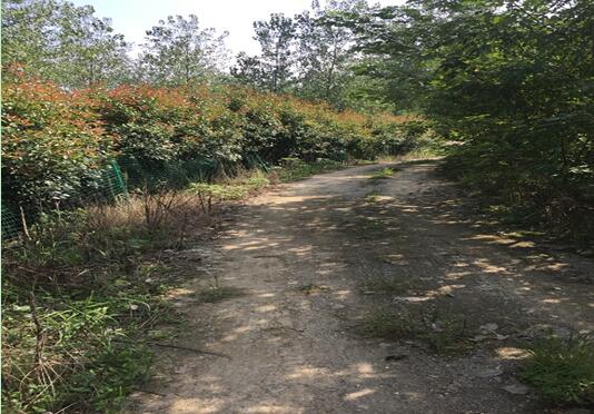 Ϸվ¼gaI_l^**e޹˾ټwϵķݡľYaЈrֵuĿ