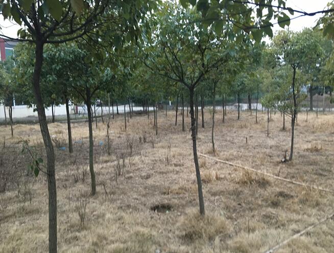 **޹˾еλڮͿh**(zhn)I(y)@ڹI(y)õءa(chn)Ca(chn)oCa(chn)ľkƷO(sh)估ģЈrֵu