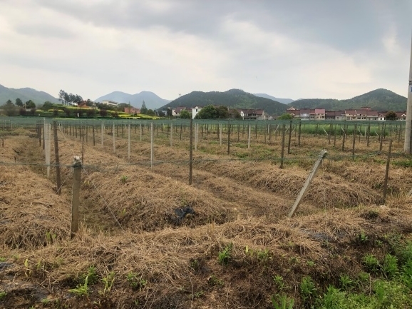 ~۽ۅ^F·þ漰λژꖿhX悵ĹVoOʩaru